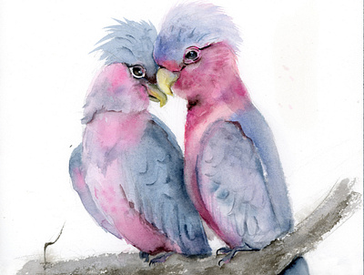 Birds in love - watercolor painting bird art bird illustration birds galah love painting parrots pink tenderness watercolor watercolor art watercolor illustration watercolor painting watercolour