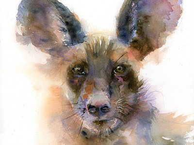 Hyena portrait - watercolor painting