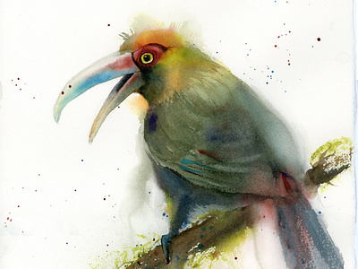 Green-billed toucan - watercolor painting