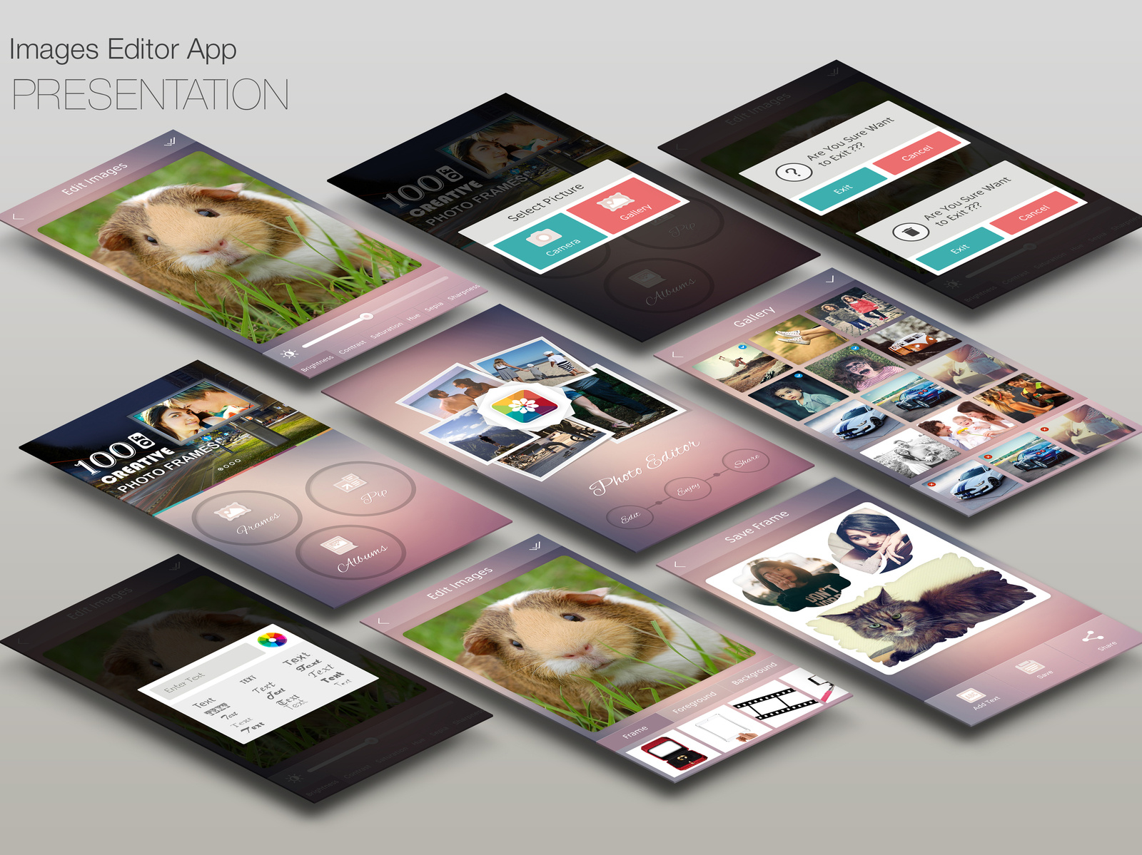 Photo Frame & Photo Editor, Frame Apps by Chandresh Polra on Dribbble