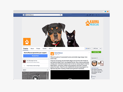 Karma Rescue's Cats Adoption Announcement announcement campaign cat design dog adoption facebook graphics karma rescue los angeles marketing social media twitter