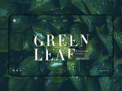 Green leaf_banner art branding design illustration illustrator logo ui ux web website