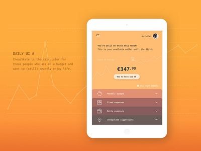 Tablet Design - monthly budget app