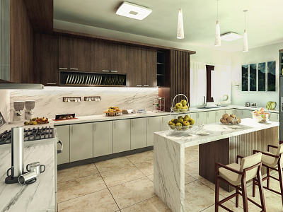 Contemporary Kitchen Design