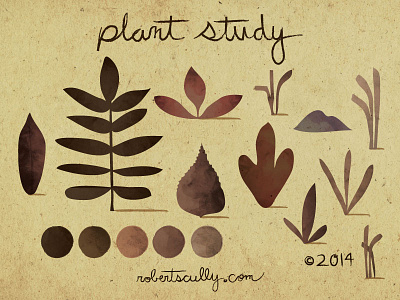 Plant Study childrens book color study design drawing illustration picture book plant