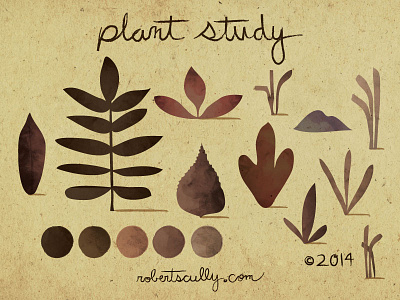 Plant Study