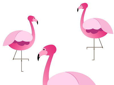 Flamingos animation design flat illustration vector