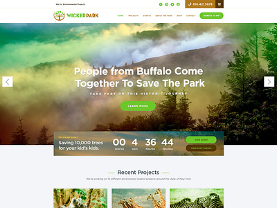 Wicker Park Website Design