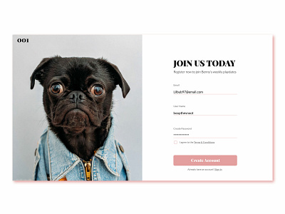 Lil Benny 001 001 dailyui signup uidesign