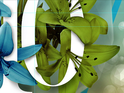 10 anos Webcomum 10 blue green illustration manipulation plant