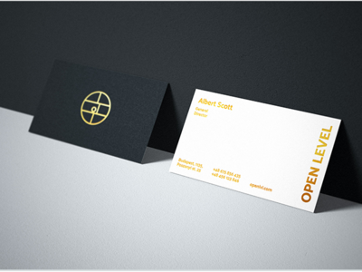 DIZZARRO's Business Card Design brand identity branding branding design business card business card design