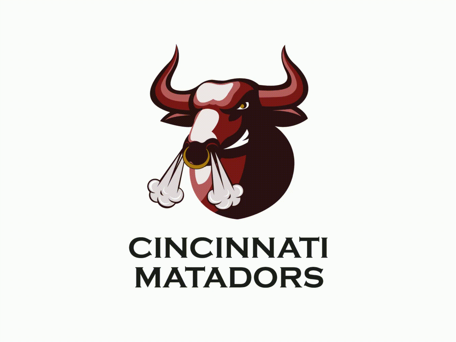 Cincinnati Matadors Logo Design Concept by Kyrylo Moiseiev on Dribbble