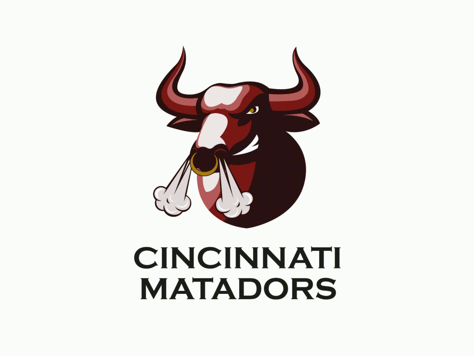 Cincinnati Matadors Logo Design Concept adobe adobe illustrator after effects animation branding branding concept dizzarro logo logo design sports branding sports logo