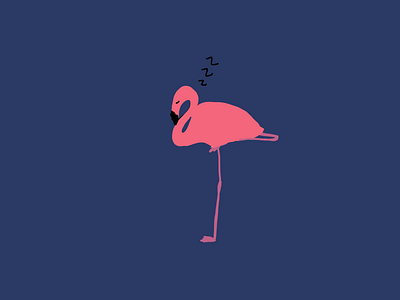 Flamingo zzzz