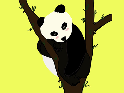 Panda 🐼 design flat illustration illustrationoftheday illustrator minimal panda sketch