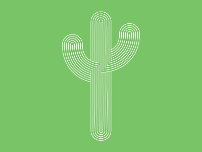 Cactus arizona cactus concentric desert green lines southwest