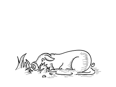 illustration of a pig wallowing in mud, hand drawn design handdrawn illustration vector