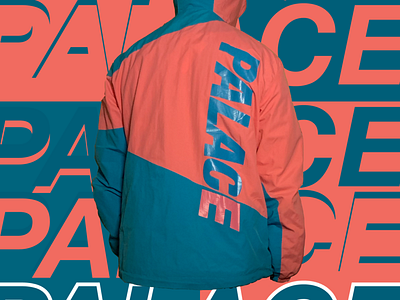 Palace jacket