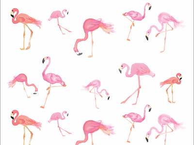 Flamingo illustration traditional art watercolor