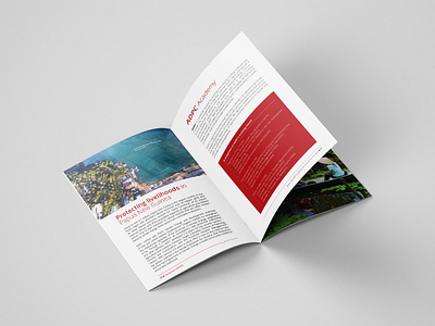 ADPC Booklet booklet branding brochure design publication design