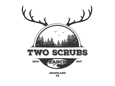 Another concept for Two scrubs Ranch