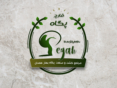 Pegah branding design dribbble illustration illustrator iran logo mushroom persian persiandesigner photoshop typography ui ux vector