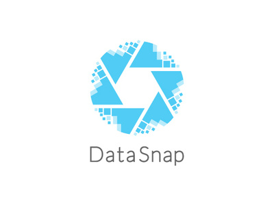 Data Snap app branding design flat icon icon app logo logotype vector web