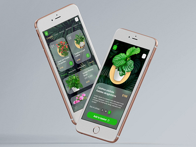 Application for plant store app design application design application ux ui design ui ui ux ui design uiux ux