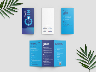 Trifold brochure