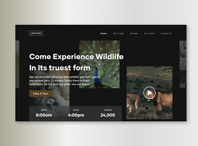 Zoo Landing Page Concept landing page ui web design wildlife zoo