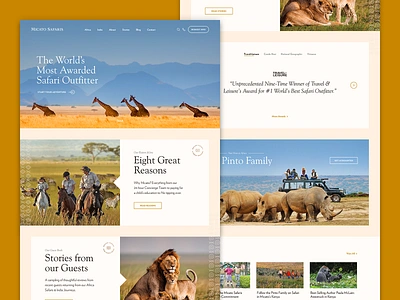 Safari Homepage 829 creative dan fleming design high end luxury safari ui user interface website