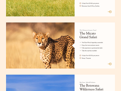 Safari Tour Cards 829 creative dan fleming design high end luxury ui user interface website