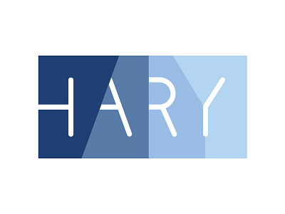 Hary Ag Logo corporate design graphic design logo