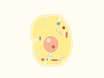 Day 96: Structure aiga100 aigane100 cell structure vector