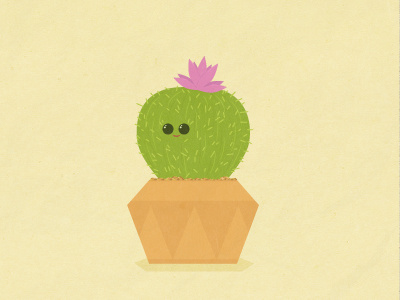 Just Another Cacti