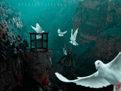 Bird Prison art artist bird brothers crew design fly freedom photomanipulation photoshop prison prisonbreak