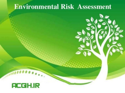 environmental risk assessment