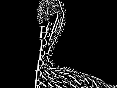 Pelican animal bodoni font fontanimal illustration la jolla pelican