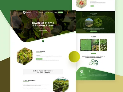 TE PUKE NURSERIES Home Page agency agency branding clean colorful design garden website gardening graphic design green landing page landing page ui minimal nurseries nurseries website product landing page typography ui ux webdesign website