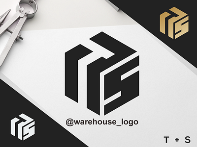 ts monogram logo abstract branding brandmark design designispiration graphicdesigner icon identity illustration initials initials logo logo monogram ts