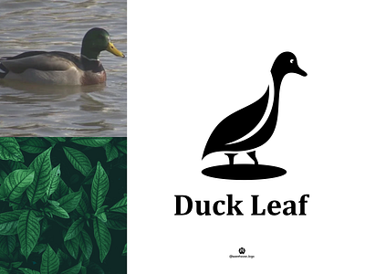 duck leaf logo inspirations abstract animals brandidentity branding brandmark creative design designispiration duck duck leaf graphicdesigner icon identity illustration leaf logo logomaker monogram symbol