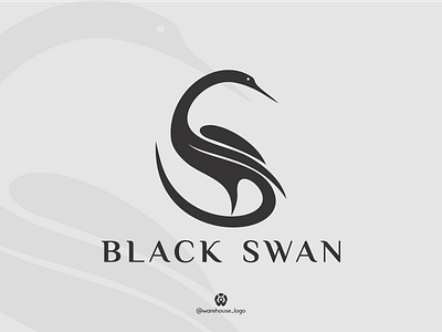 black swan logo inspirations