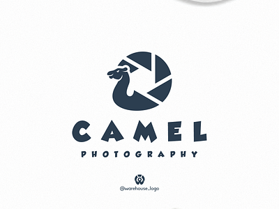camel photography