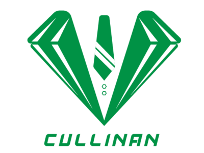 Cullinan Enterprise branding design illustration logo type vector