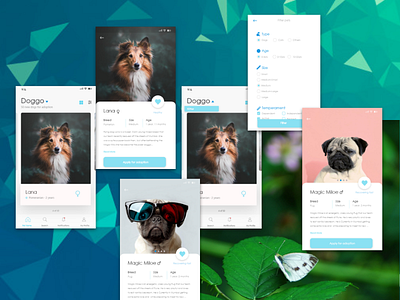 Pet App design adobexd app cat concept design dog pet pet design prototyping ui ui ux ui ux design uidaily uidesign uidesigner ux uxdesign