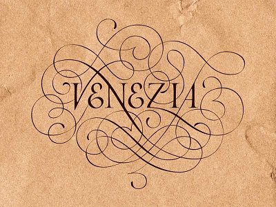 Lettering for calligraphic project in the Venice calligraphy copperplate flourish handmade italy italycalligraphy lettering logotype spencerian venezia venice