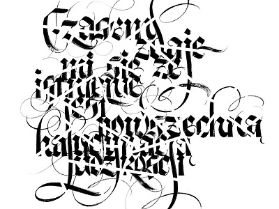 Calligraphic performance in Toruń (Poland) calligraphic performance calligraphy design exhibition flourish gothic gothic calligraphy graffiti graffiti art lettering