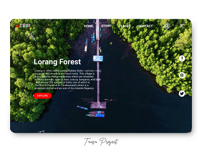 Lorang Forest aru island landingpage lorangforest ui uidesign userexperience userinterface ux ux design uxui