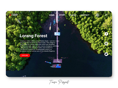 Lorang Forest