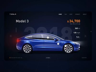 Tesla Car Web Design after effect animation black blue car model 3 model s principle red tesla web web design